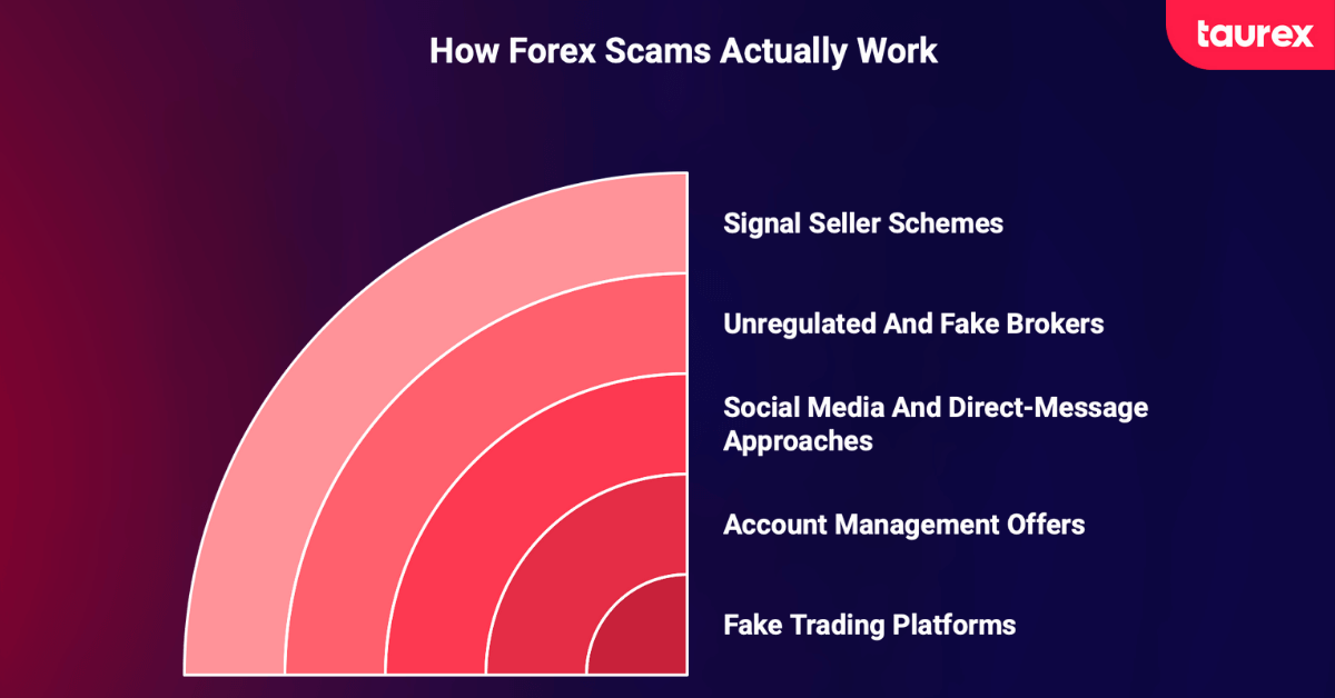 how forex scams actually work