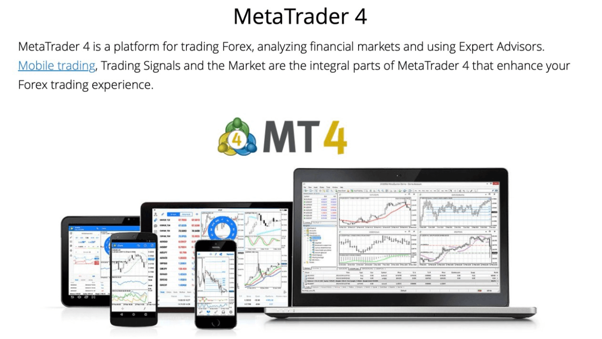 MT4