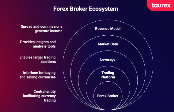 What is a forex broker