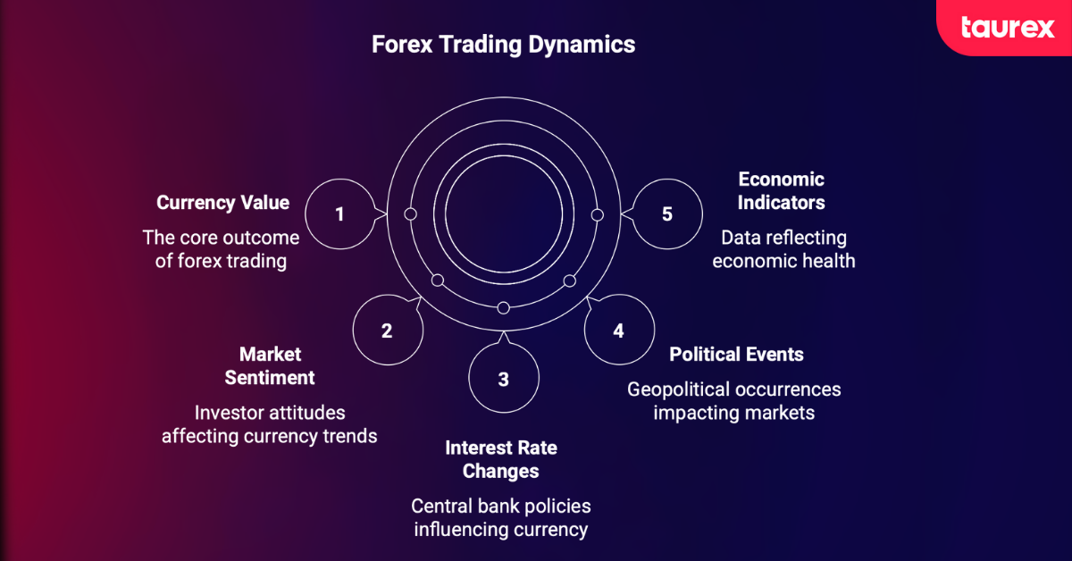 Forex trading dynamics