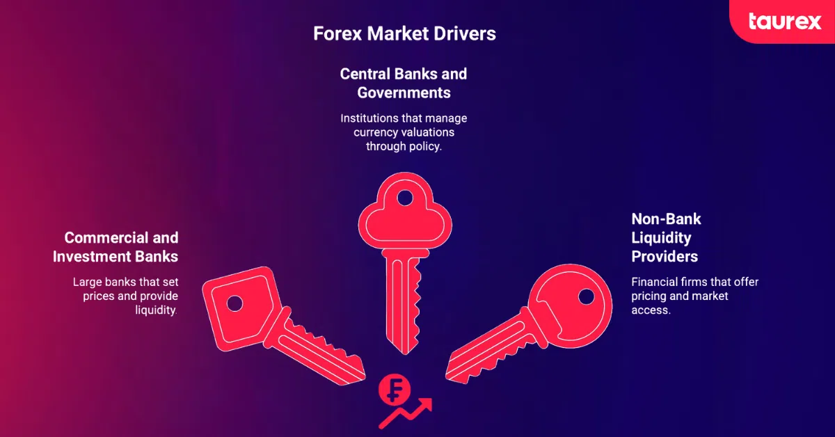 forex market participants top level