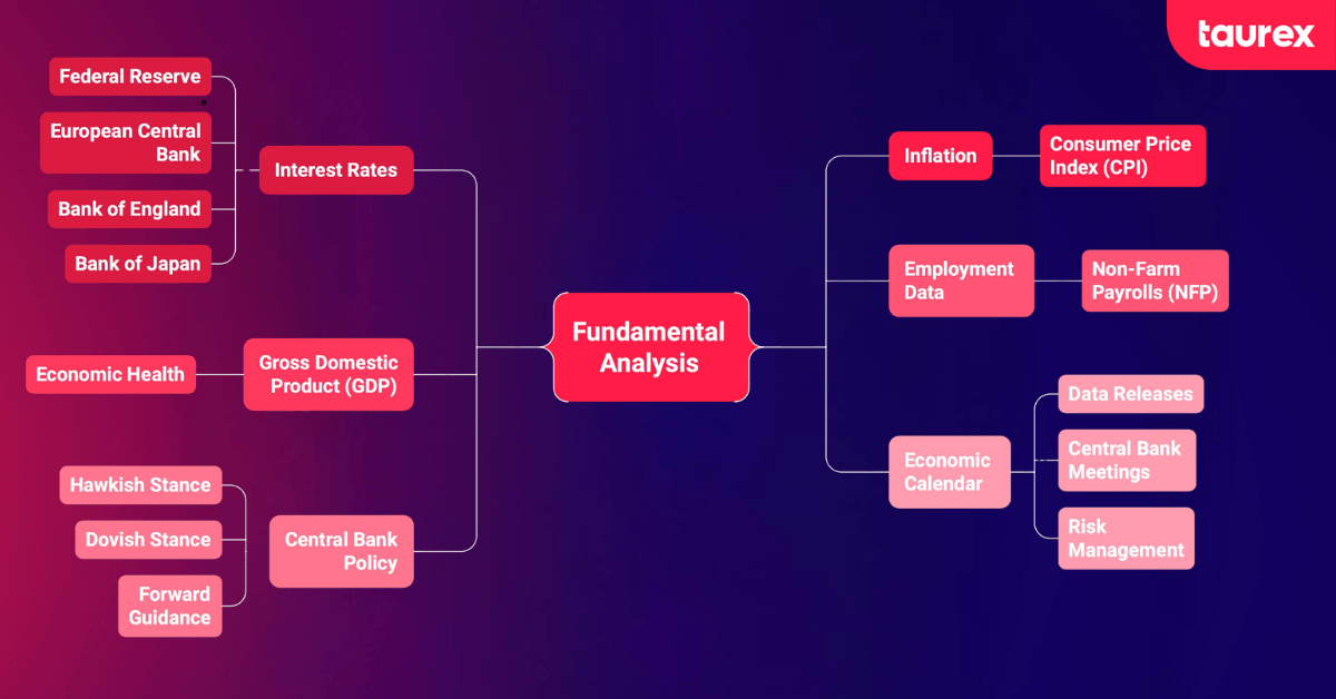 forex fundamental analysis terminology