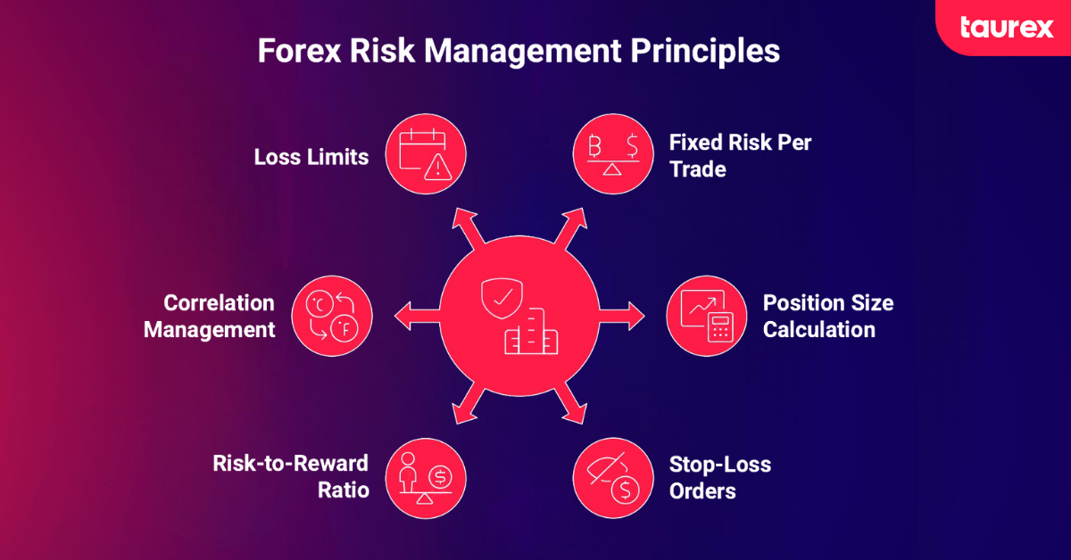forex risk management principles
