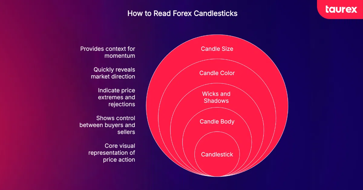 forex candlestick components and their meaning