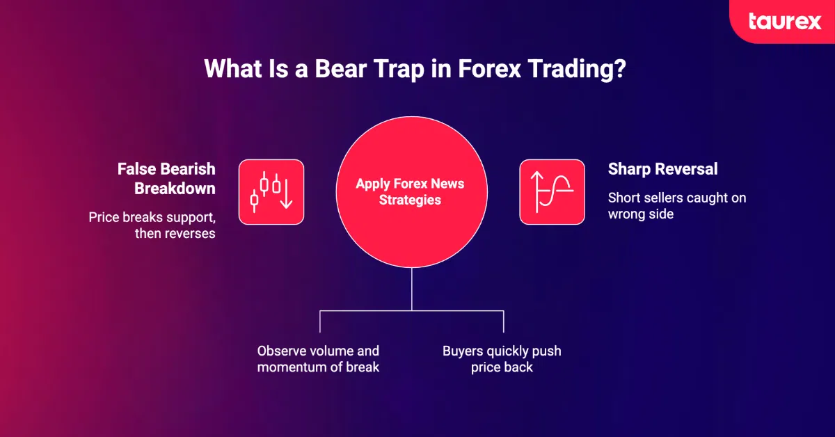 what is bear trap trading in forex