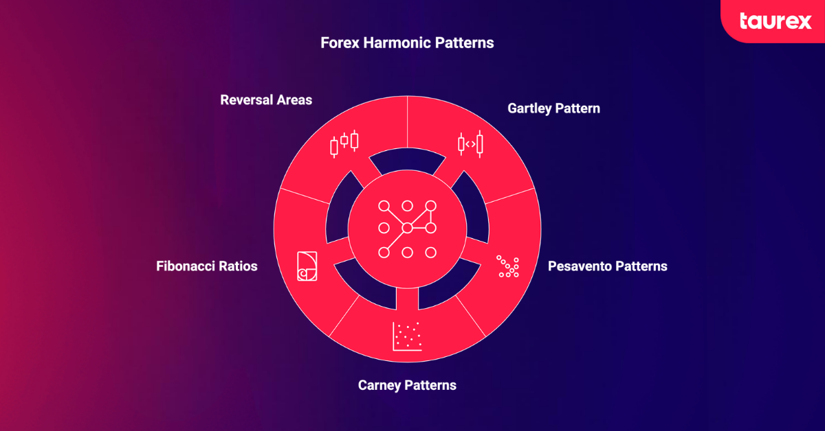 forex harmonic patterns infographic